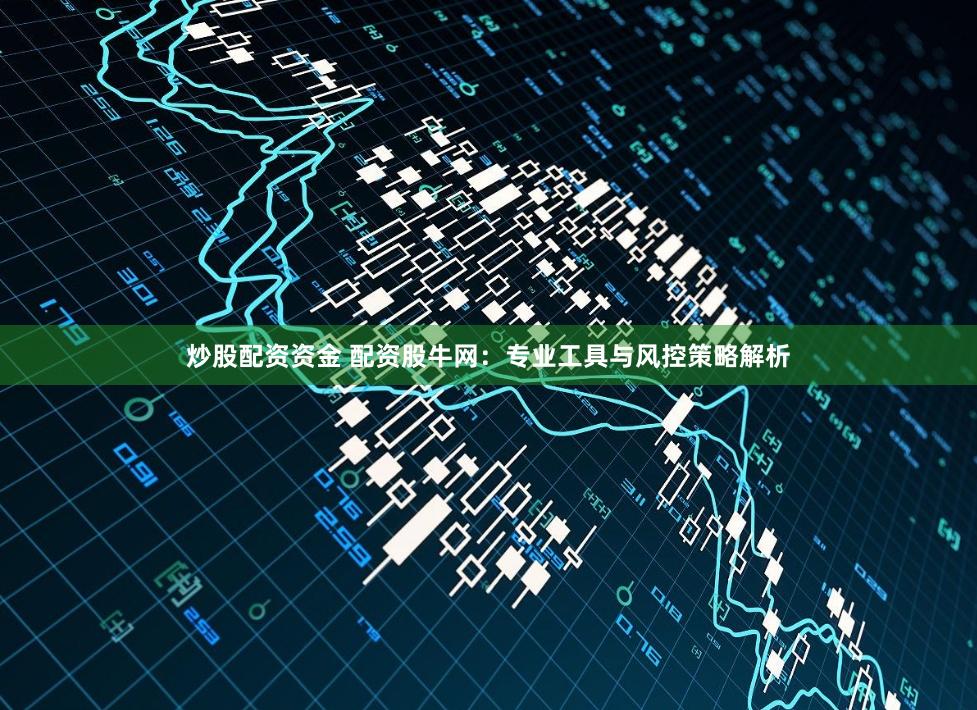 炒股配资资金 配资股牛网：专业工具与风控策略解析